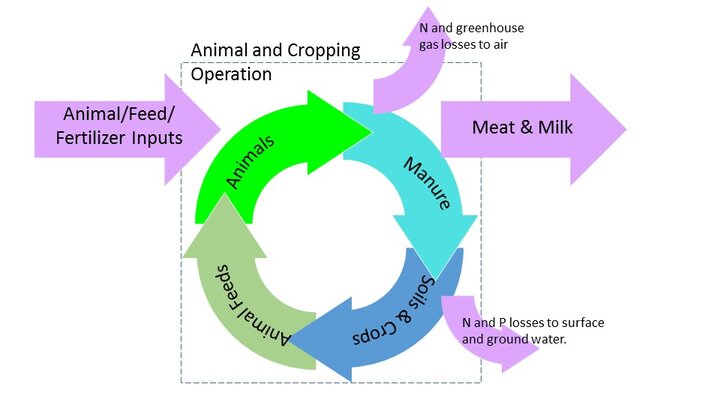 All circular economies experience leaks