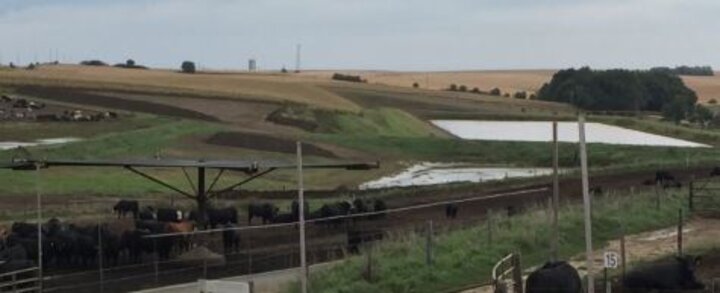 Photo of open lot runoff holding pond. 