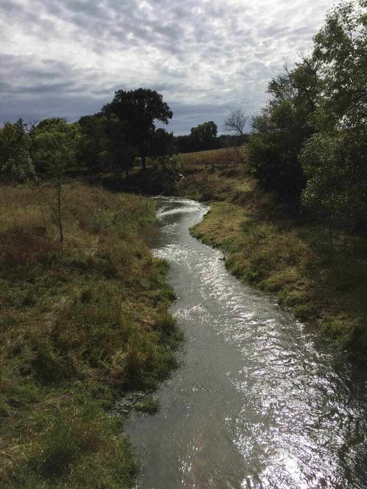 Photo of a stream