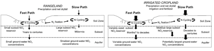 Rangeland and Cropland nitrate flow paths. Fast or Slow depending on soil.