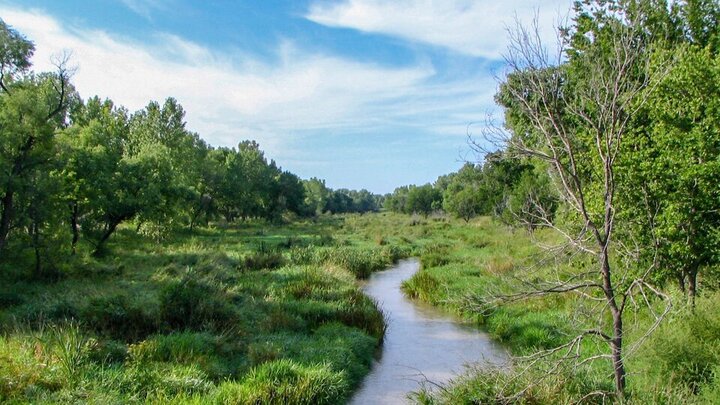 Republican River flowing through grass and trees