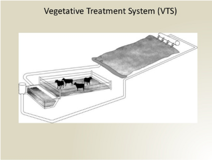 Vegetated Treatment System (VTS). 