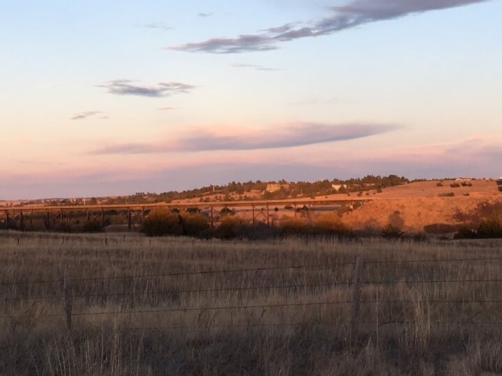 Figure 1-Eastern red cedar tree expansion in Nebraska