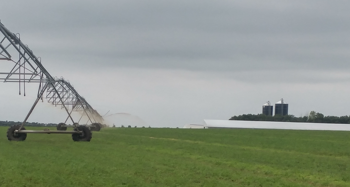 Center pivot on alfalfa fed by pond effluent.