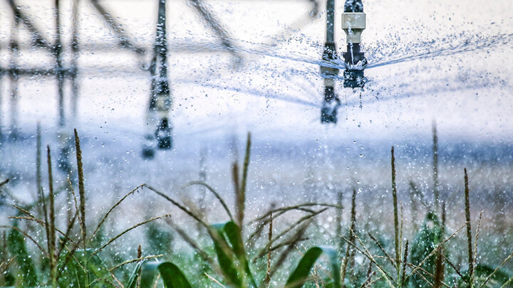 Close-up of a center pivot irrigation system spraying water over a cornfield, with water droplets captured mid-air and corn tassels visible in the foreground.