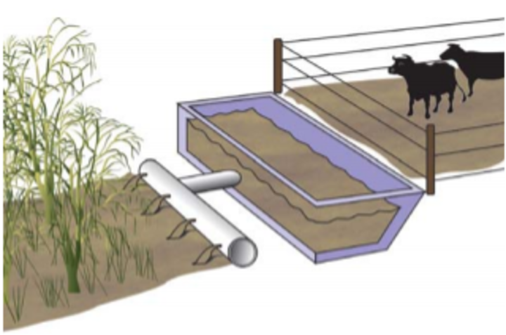 artist rendition of a vegetative treatment system