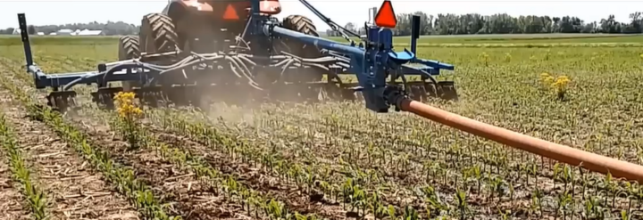 Drag-hose manure application on growing corn