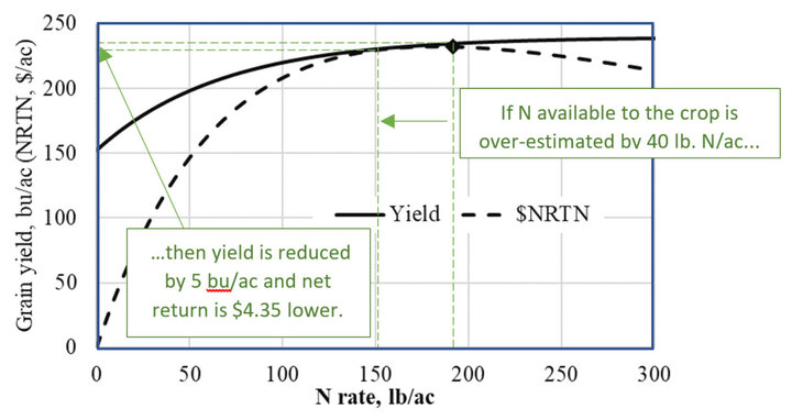 The effect of N rate on corn yield and on the net return to fertilizer N (NRTN) for irrigated corn following corn. The economic analysis assumes the value of one bushel of grain equal to the cost of 10 lb. of N.