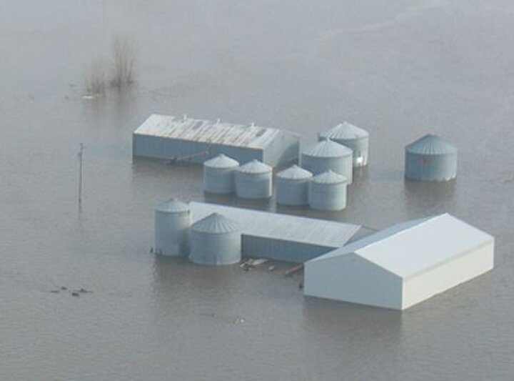 Flood damaged feeds present some unique challenges. Photo courtesy of John Wilson and Lee Valley, Inc.