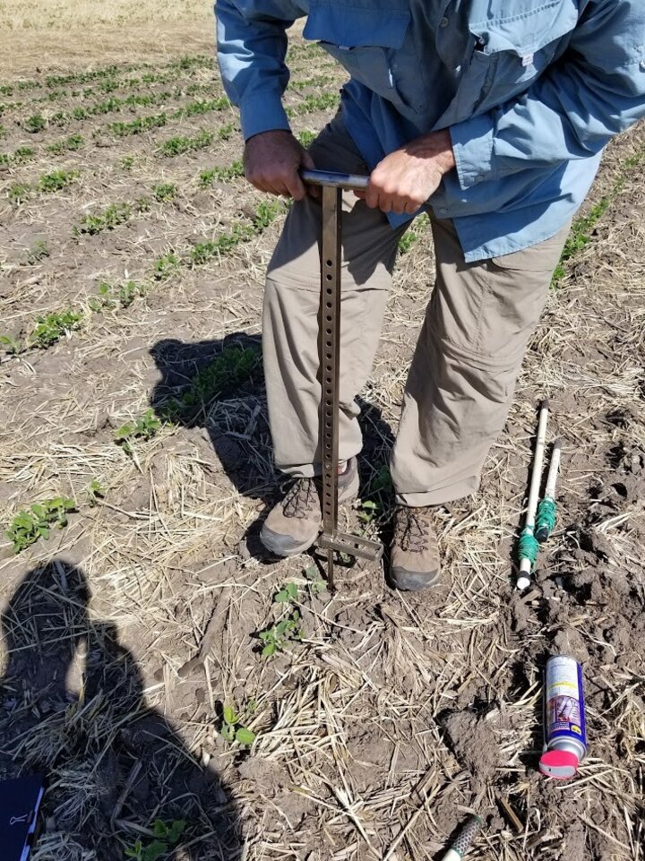 Early installation of watermark sensors