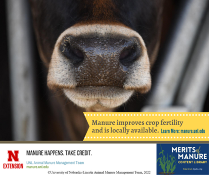 example graphic with photo of a cow's nose and says 