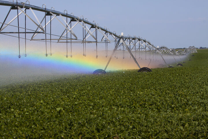 irrigation pivot watering crop field