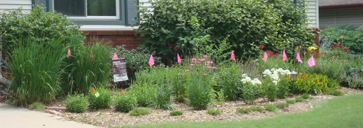 rain garden install image