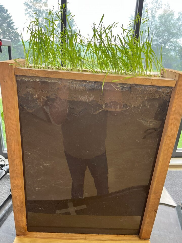 preview of root boxes to be shown at the Soil Health School on August 1 and 2.