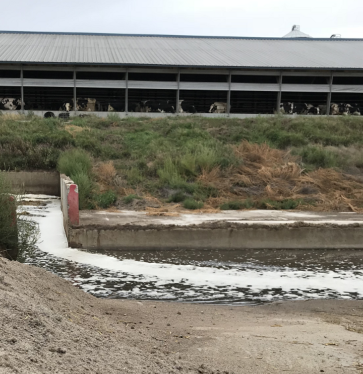 Photo of sand lane to recover sand bedding