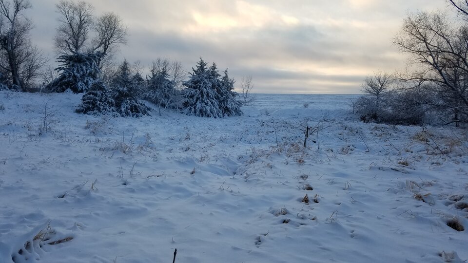 Snow in the landscape