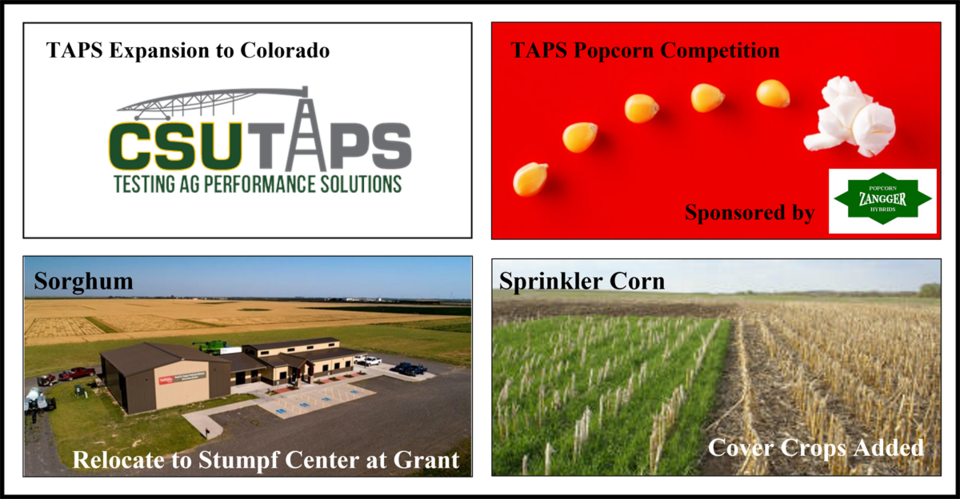 TAPS initiative photo collage