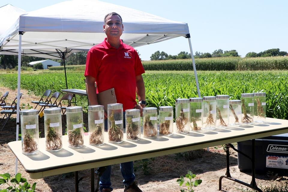 Vesh Raj Thapa stands near root sample display