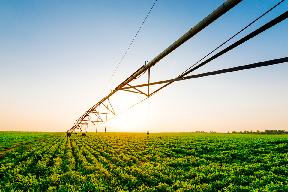 Center pivot in soybeans