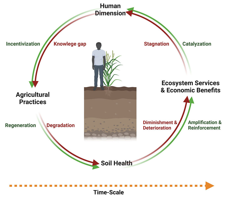 soil health cycle infographic