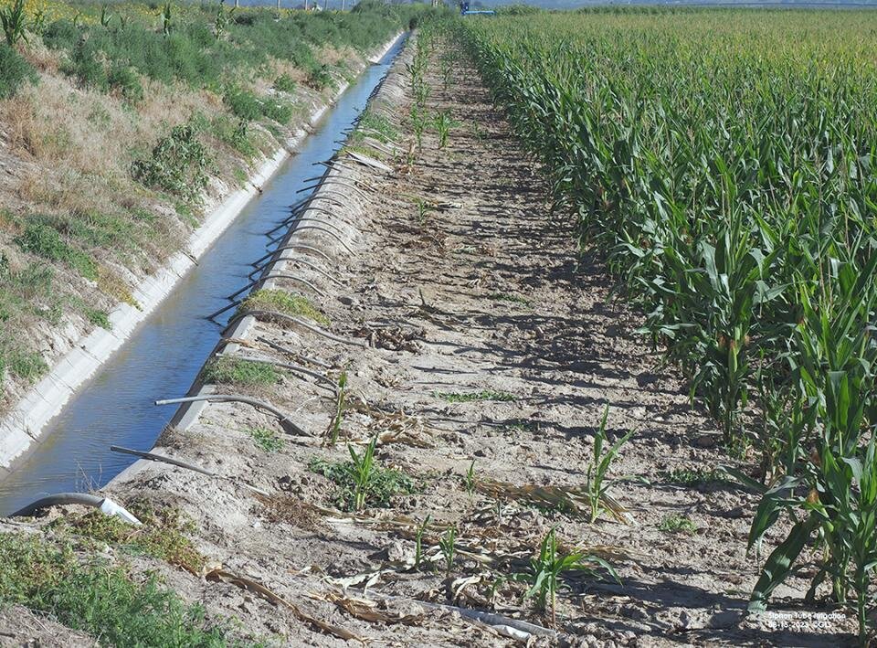 concrete lined irrigation ditches