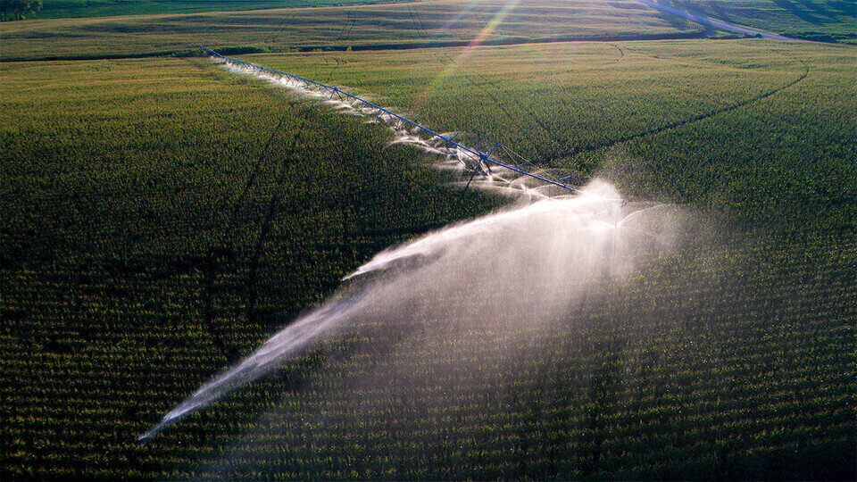 Irrigation in a field