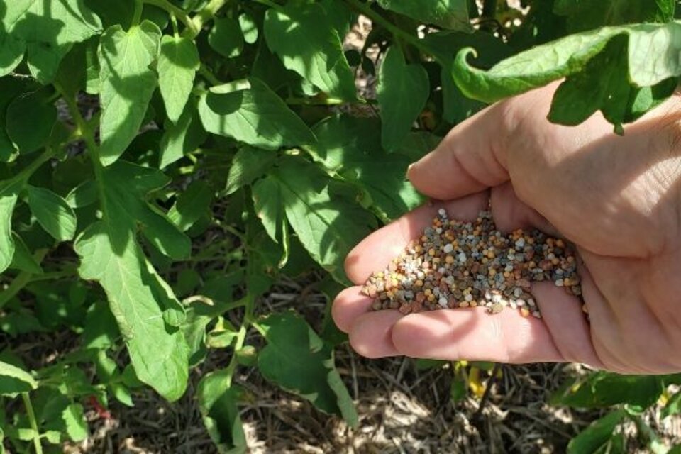 Fertilizer