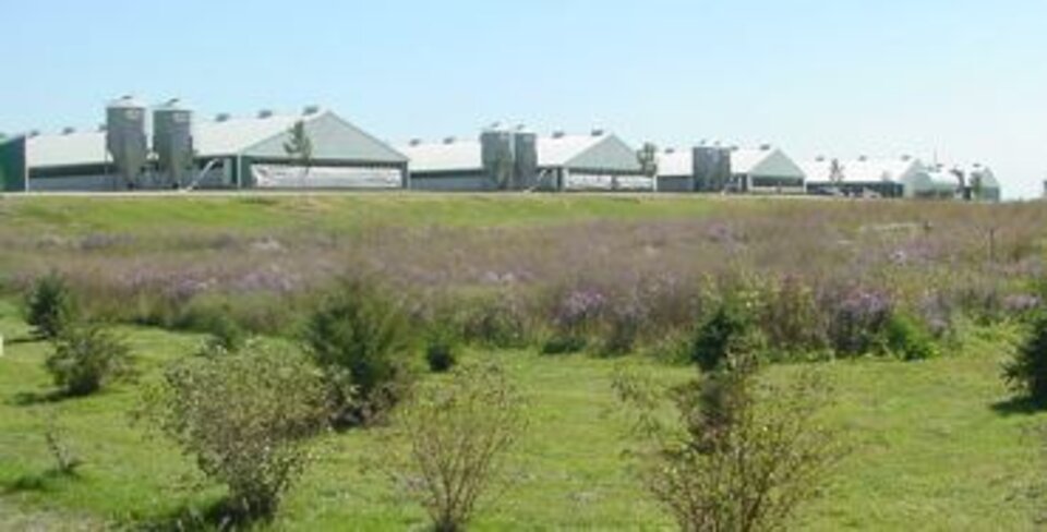 farm in Iowa