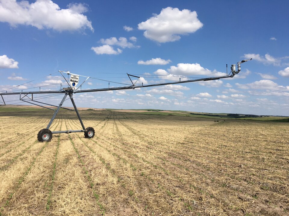 Center Pivot in soybean field Greeley County, NE