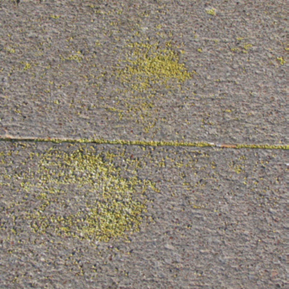 Pesticides on Concrete, Photo from John Fech, Nebraska Extension Educator