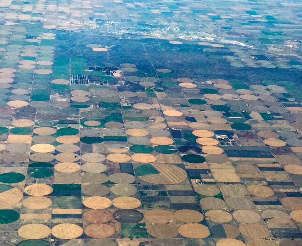 An aerial view of pivot circles