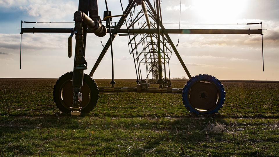 center pivot sitting in field (courtesy CropWatch)