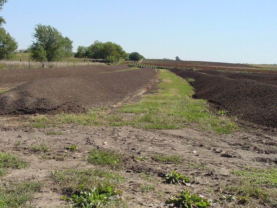 compost windrows