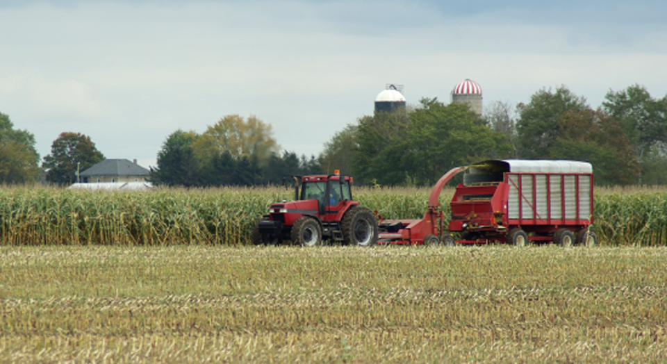 photo of corn silage harvest