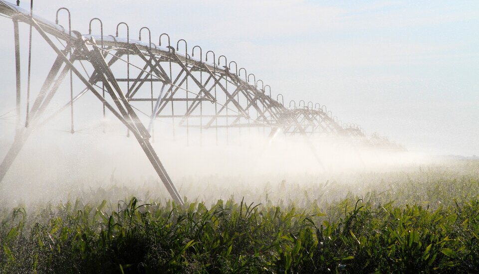 Center pivot irrigating corn