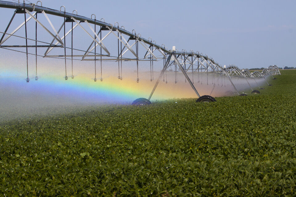 irrigation pivot watering crop field