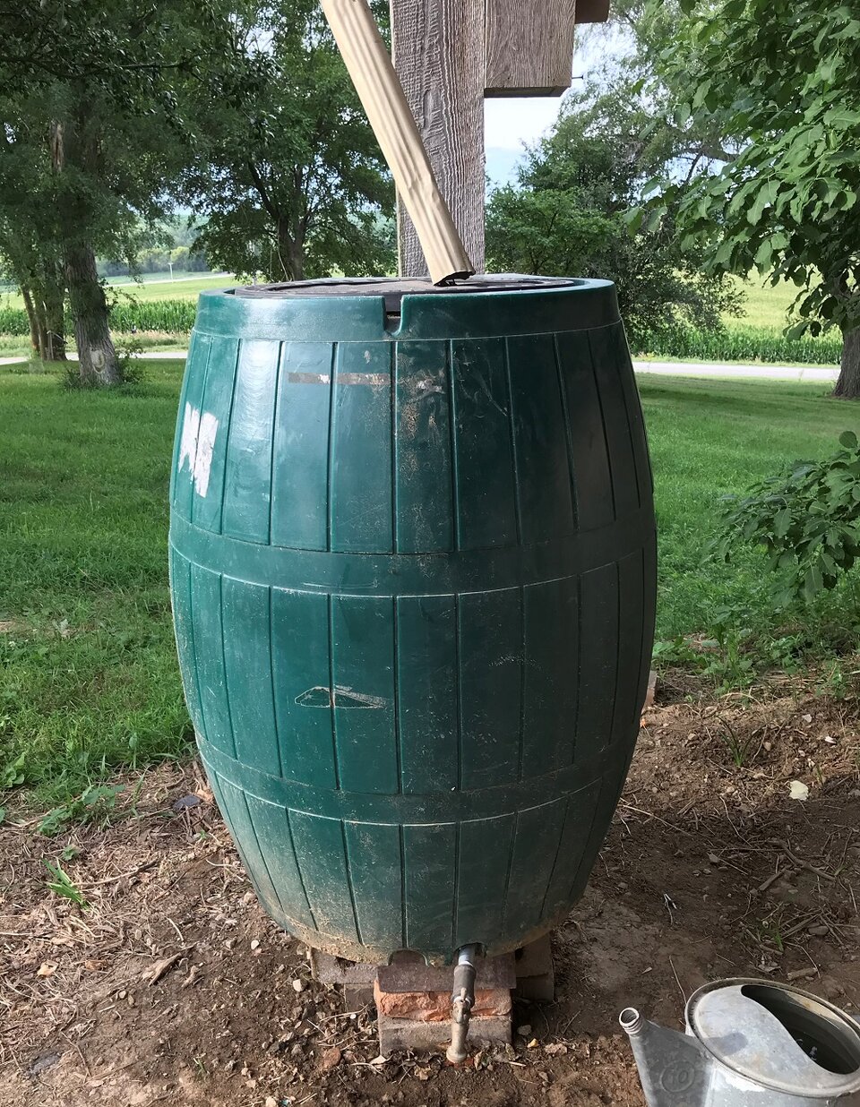Rain Barrel