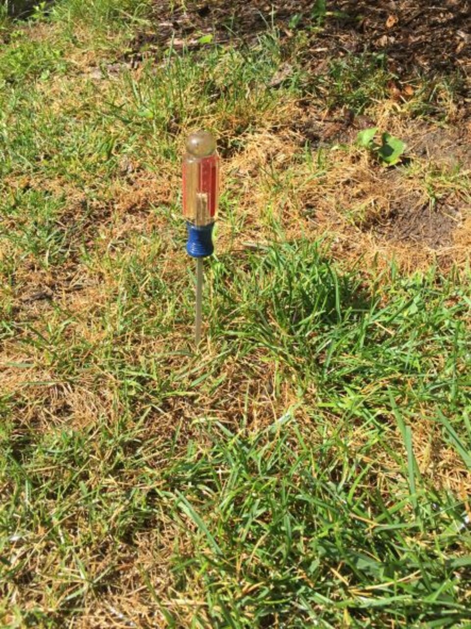 Screwdriver testing moisture content