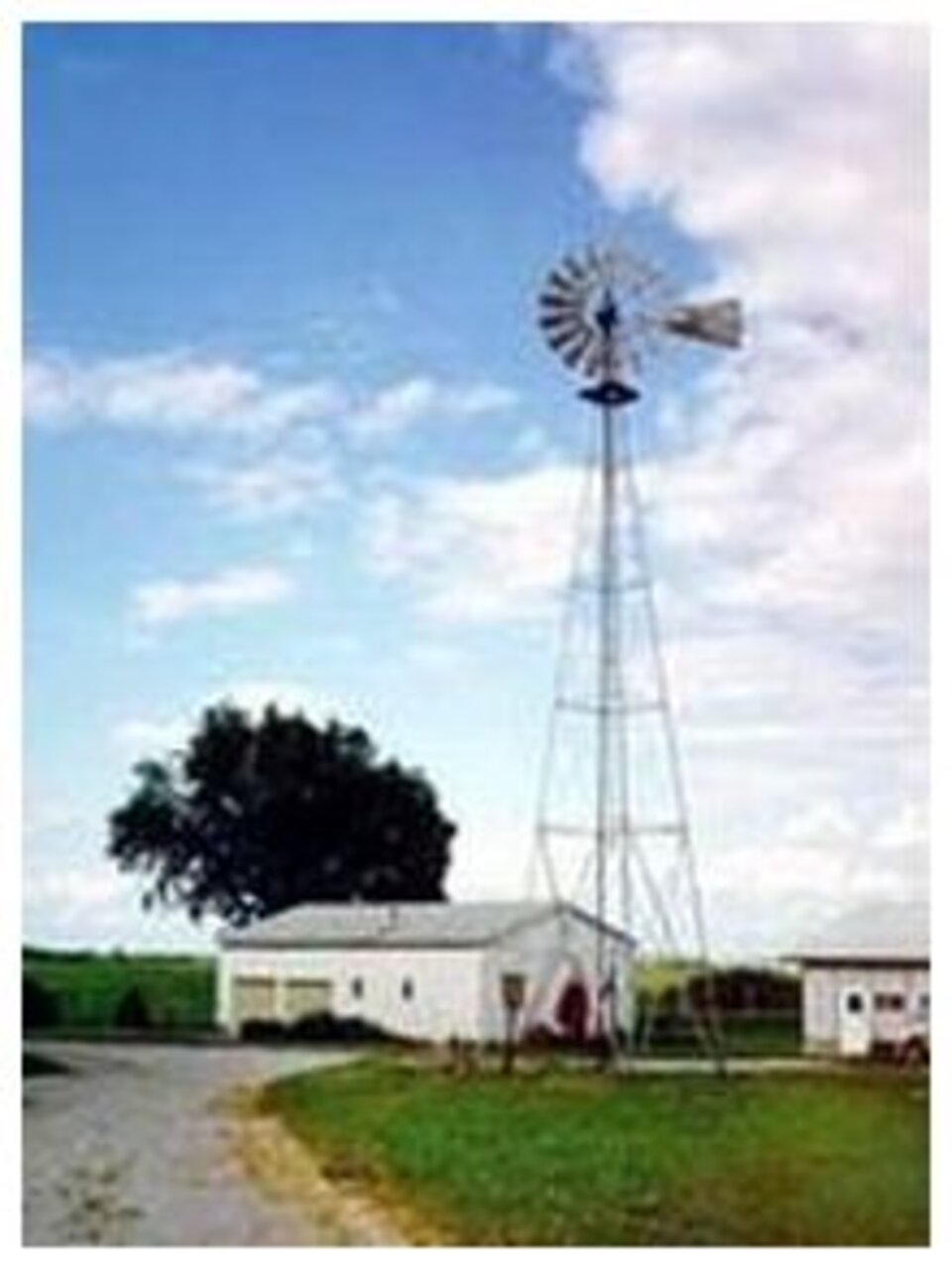 Windmill on a Farm