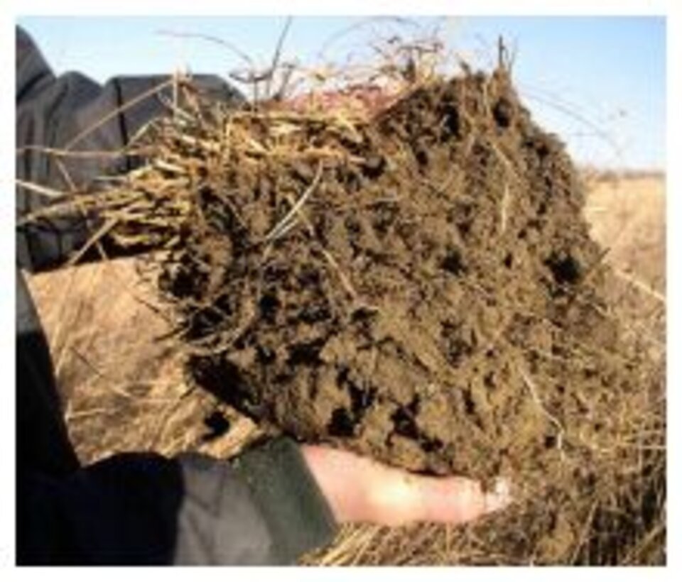 Someone holding a soil sample