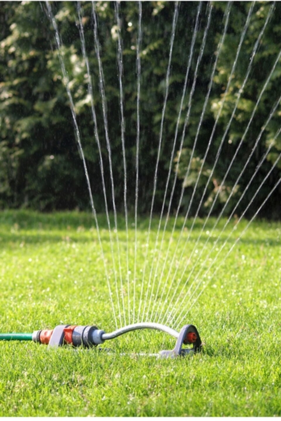 Photo of a Sprinkler in a lawn