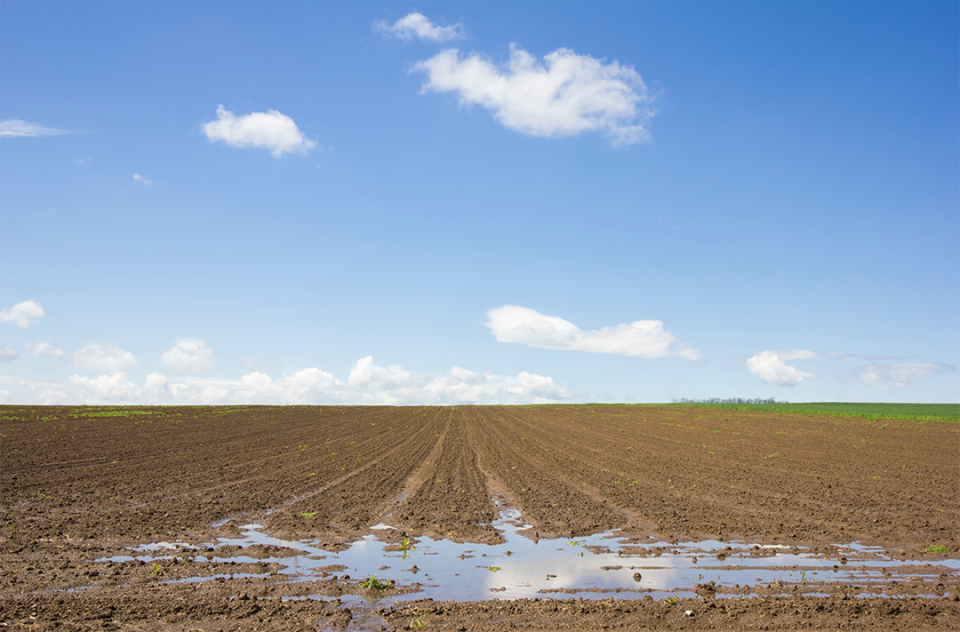 photo of water standing in tire tracks of field