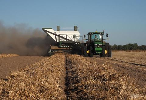 Dry bean harvest with a Pickett specialty dry bean combine (photo by Gary Stone).