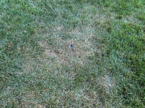 Dry spot due to lack of overlap in irrigation