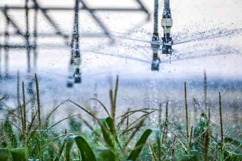 closeup of center pivot watering corn